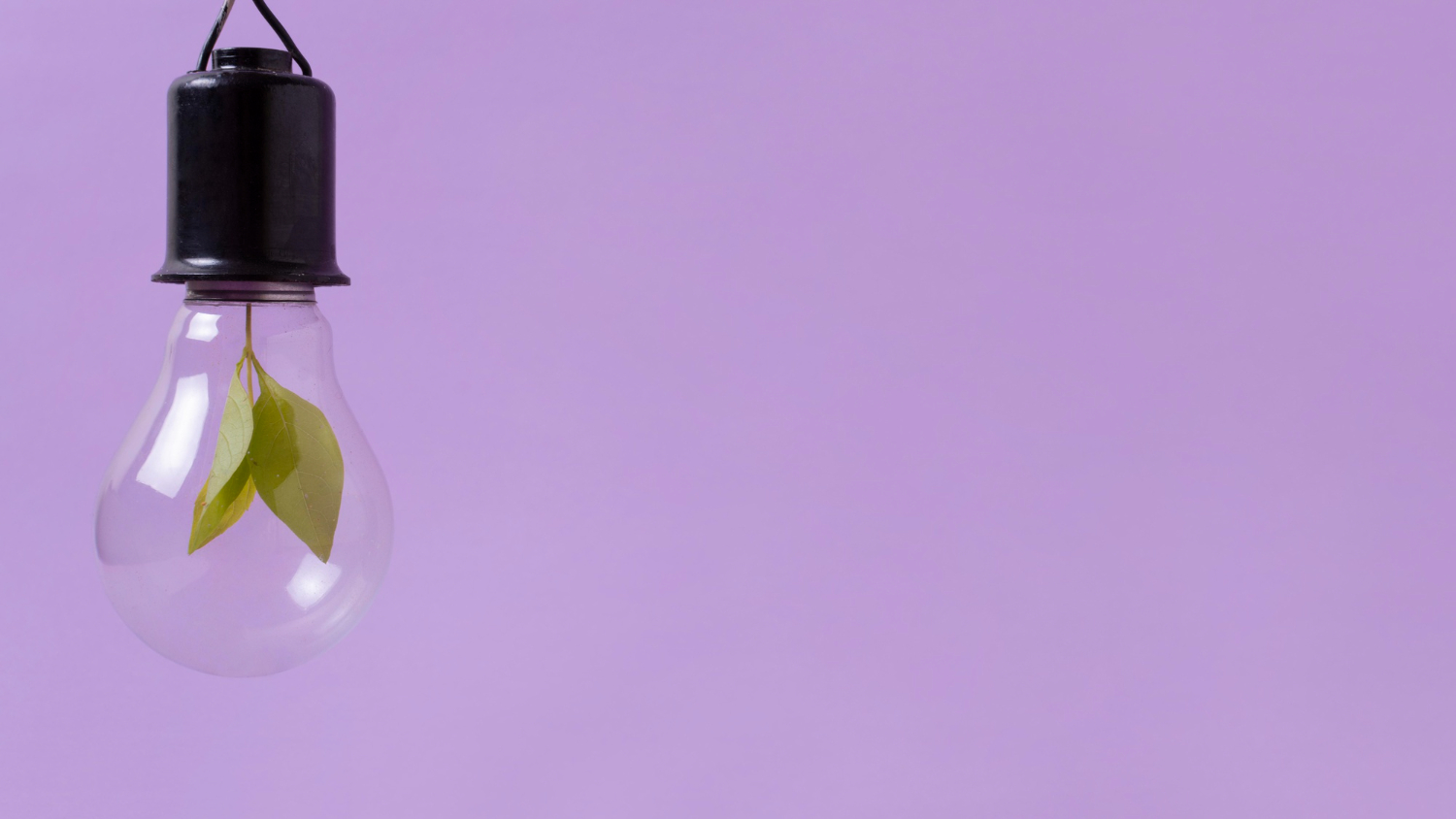 Международный день энергосбережения